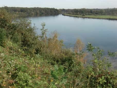 Leudal NL : Ortsteil Neer, Schoor ( Straße ), Maaspanorama